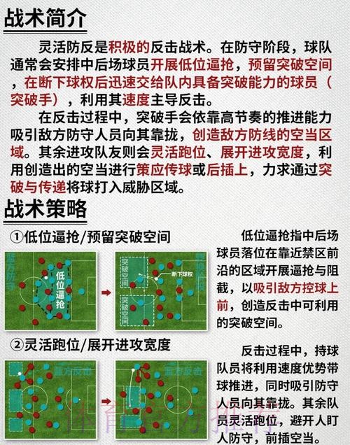 最新世界杯法国C罗战术分析深度解读